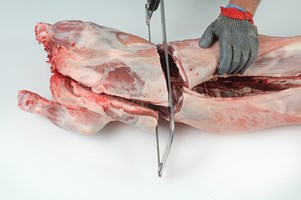 Meat Cut Spec Step 2